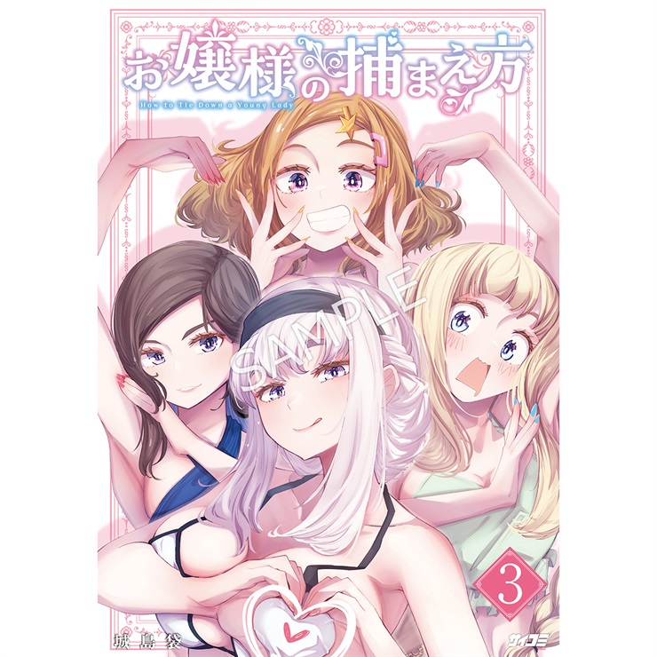 『お嬢様の捕まえ方』 3巻
