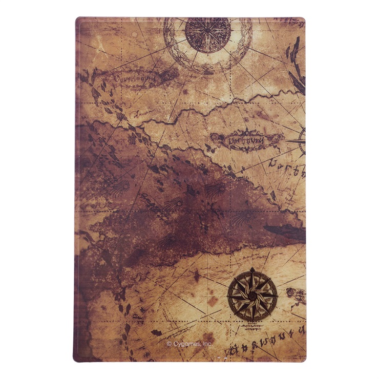 硬質カードケース(空域図)