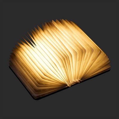 ブックランプ(ラジエル)