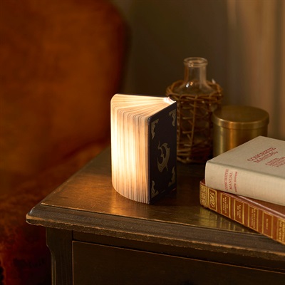 ブックランプ(ラジエル)