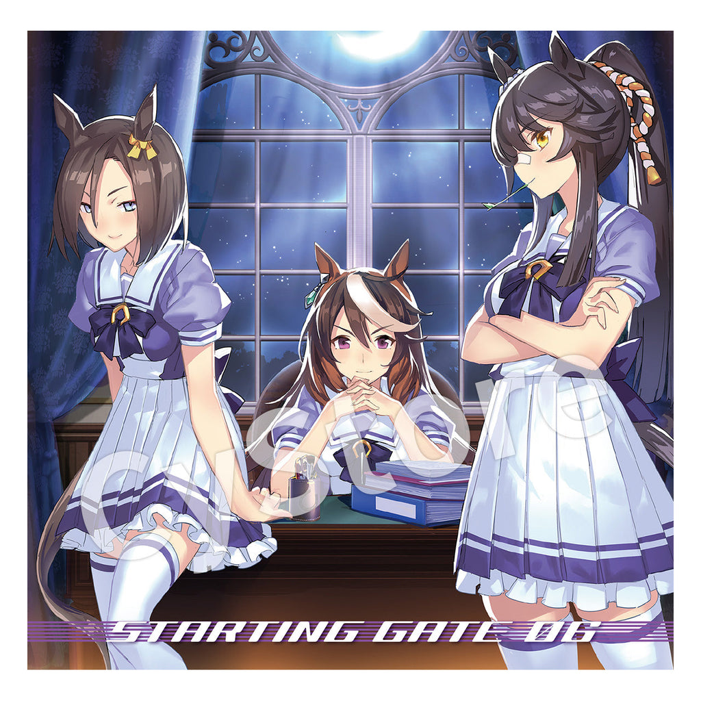 大切な人へのギフト探し ウマ娘 STARTING GATE アニメ - kintarogroup.com